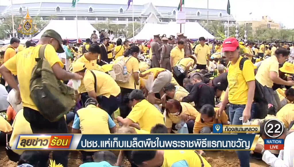 ประชาชนแห่ร่วมเก็บเมล็ดพืช ในพระราชพิธีแรกนาขวัญ