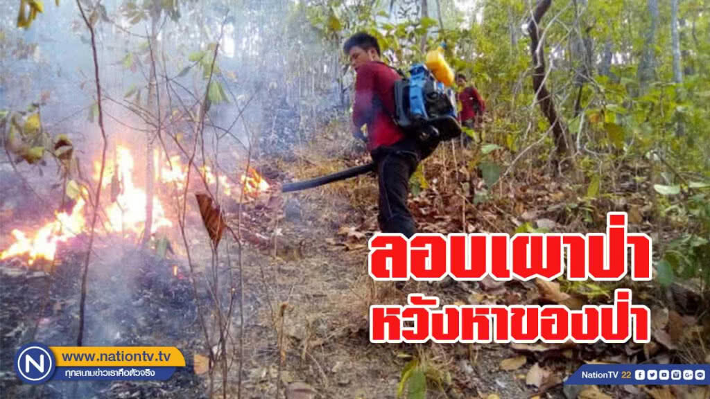 ชาวบ้านลอบเผาป่าไม่หยุดหย่อน ชาวบ้านลอบเผาป่าไม่หยุดหย่อน