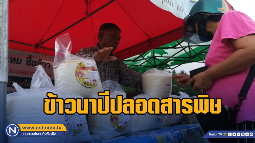 ชาวนารวมตัวขายข้าวนาปีปลอดสารพิษ
