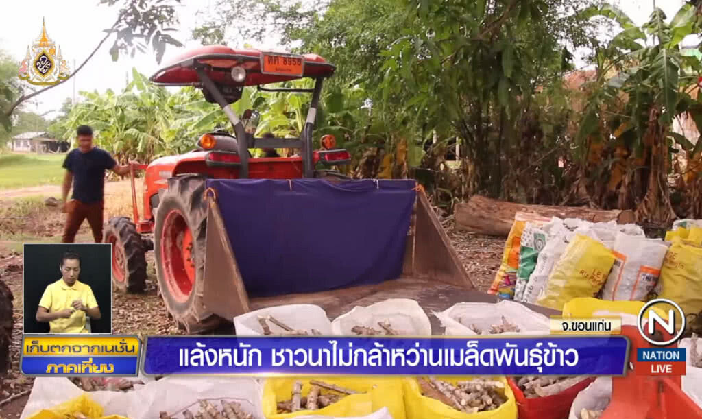 แล้งหนักชาวนาไม่เสี่ยงหว่านเมล็ดพันธุ์