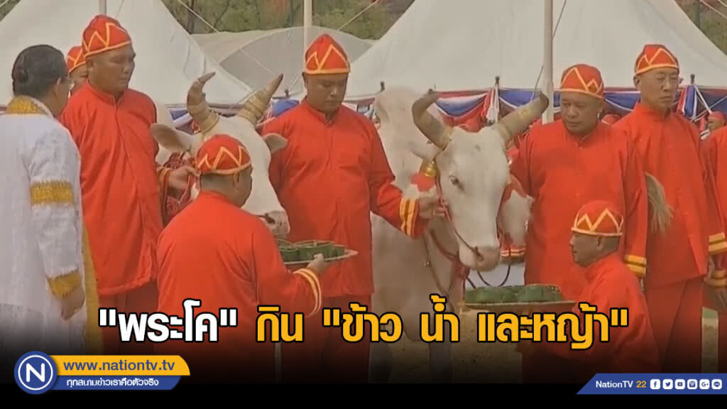 ผลเสี่ยงทาย "พระโค" กิน "ข้าว น้ำ และหญ้า" ผลเสี่ยงทาย "พระโค" กิน "ข้าว น้ำ และหญ้า"