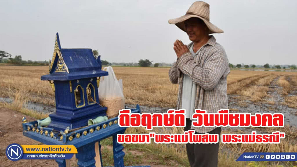 ชาวนา ขอขมา"พระแม่โพสพ พระแม่ธรณี" วันพืชมงคล ชาวนา ขอขมา"พระแม่โพสพ พระแม่ธรณี" วันพืชมงคล