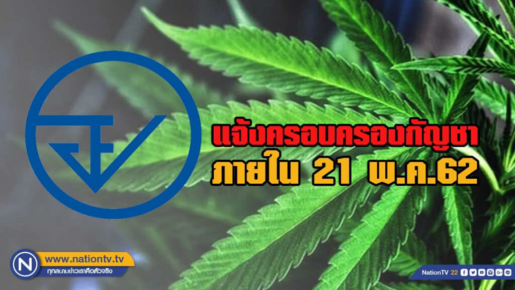 อย. เผย ให้แจ้งครอบครองกัญชาภายใน 21 พ.ค.62 นี้