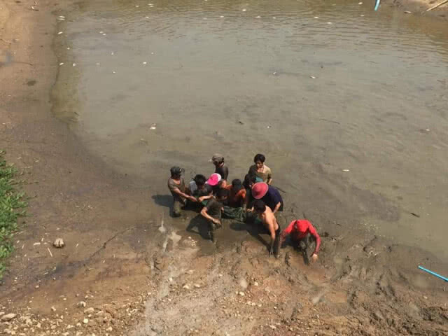 เชียงใหม่ ซู อควาเรียม ต้อนรับ "ปลาช่อนยักษ์อเมซอน"