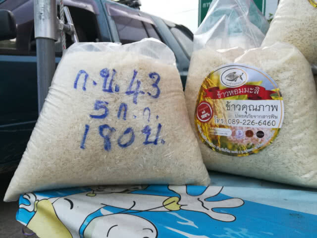 ชาวนารวมตัวขายข้าวนาปีปลอดสารพิษ