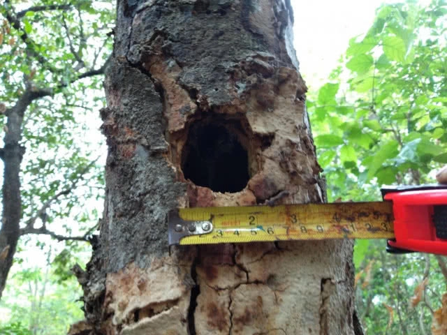 อุทยานแห่งชาติภูผาเหล็ก ออกสำรวจพื้นที่เข้ม พบถ้ำและแหล่งน้ำสมบูรณ์