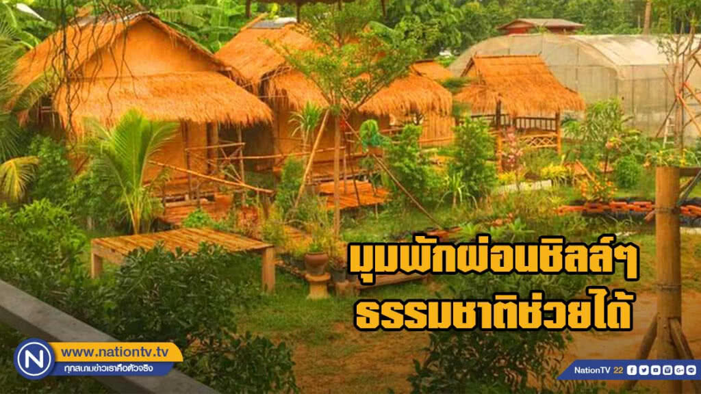 โรงเรือนสีขาว ต้นไม้สีเขียว มุมพักผ่อนชิลล์ๆ ธรรมชาติกับ SP ฟาร์มสเตย์ เพชรบูรณ์