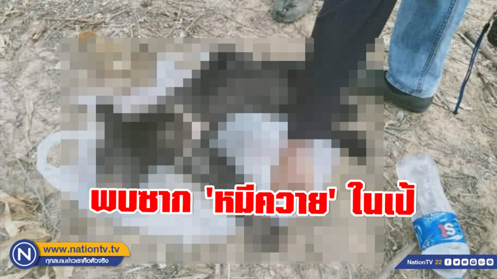 พบซาก​ 'หมีควาย'​ ในเป้ชายลอบเข้าพื้นที่อุทยานฯทับลาน  อ้างพบหมีนอนตายในป่า