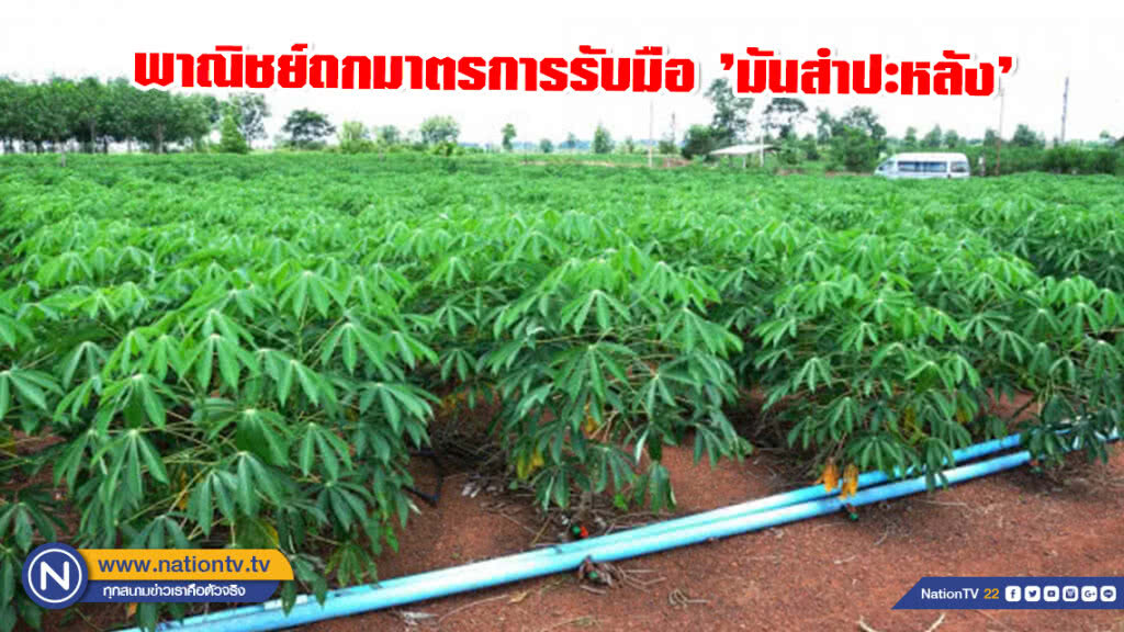 พาณิชย์ถกมาตรการรับมือ ’มันสำปะหลัง’ พาณิชย์ถกมาตรการรับมือ ’มันสำปะหลัง’