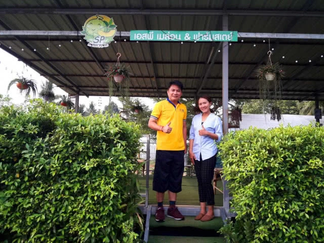 โรงเรือนสีขาว ต้นไม้สีเขียว มุมพักผ่อนชิลล์ๆ ธรรมชาติกับ SP ฟาร์มสเตย์ เพชรบูรณ์