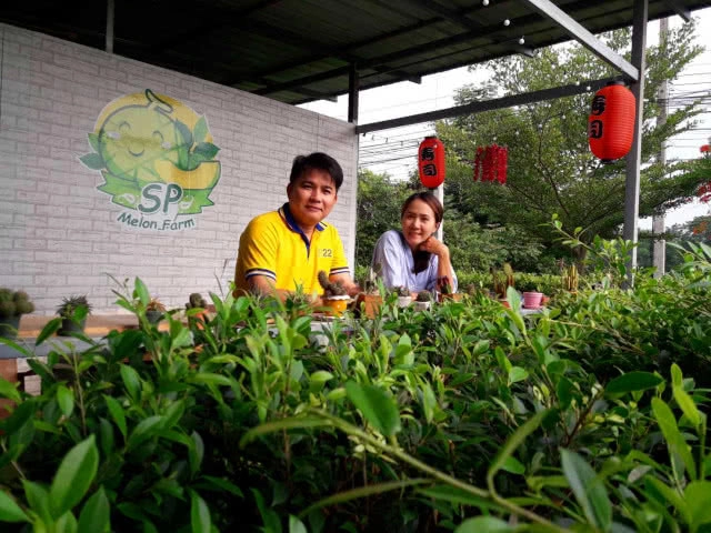 โรงเรือนสีขาว ต้นไม้สีเขียว มุมพักผ่อนชิลล์ๆ ธรรมชาติกับ SP ฟาร์มสเตย์ เพชรบูรณ์