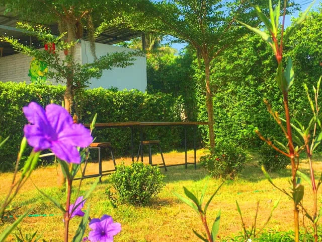 โรงเรือนสีขาว ต้นไม้สีเขียว มุมพักผ่อนชิลล์ๆ ธรรมชาติกับ SP ฟาร์มสเตย์ เพชรบูรณ์