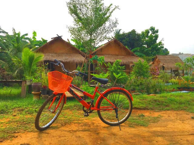 โรงเรือนสีขาว ต้นไม้สีเขียว มุมพักผ่อนชิลล์ๆ ธรรมชาติกับ SP ฟาร์มสเตย์ เพชรบูรณ์