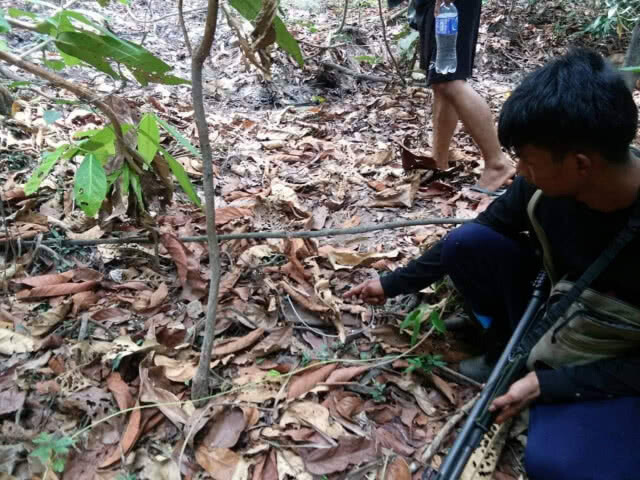พบซาก​ 'หมีควาย'​ ในเป้ชายลอบเข้าพื้นที่อุทยานฯทับลาน  อ้างพบหมีนอนตายในป่า