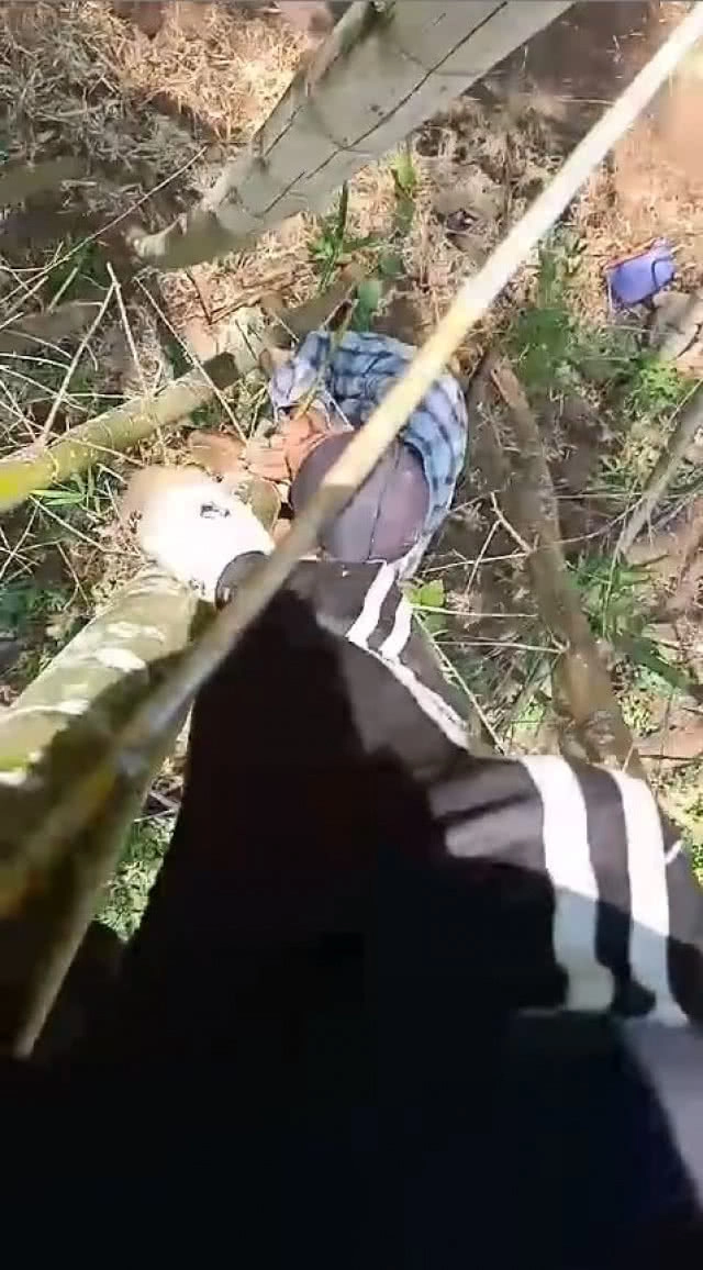 แชร์ว่อน!! สาวเจอ"เสือ" เอาตัวรอด ปีนต้นไม้ให้สูงเข้าไว้