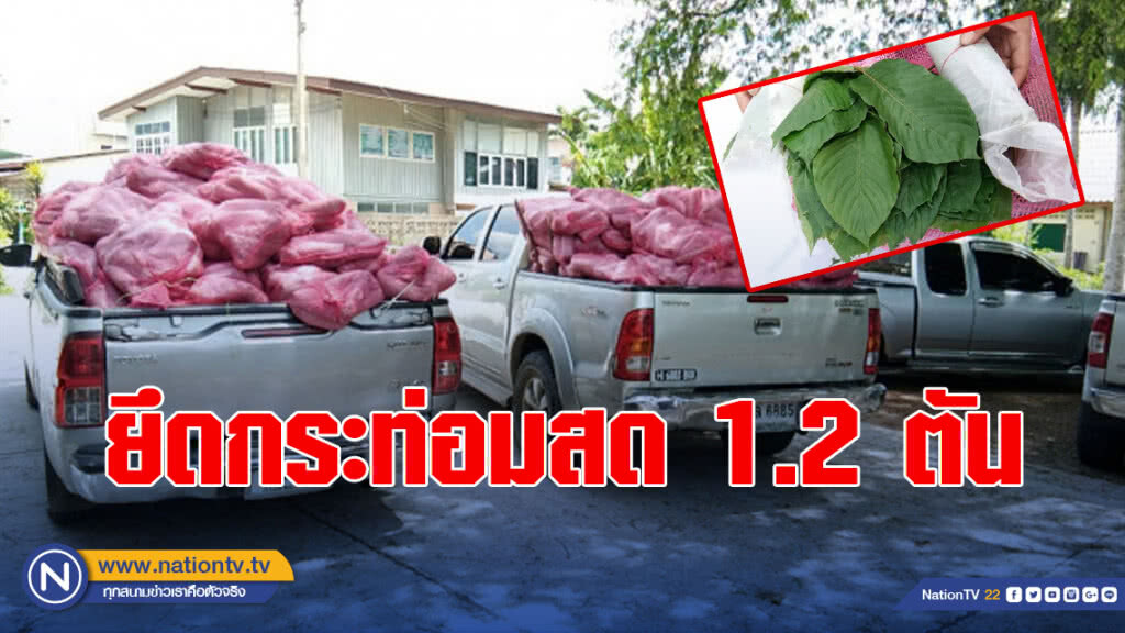 ยึดกระท่อมสด 1.2 ตัน ชายแดนสะเดา ยึดกระท่อมสด 1.2 ตัน ชายแดนสะเดา