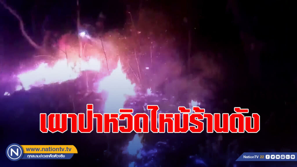 เผาป่าหวิดไหม้ร้านดัง