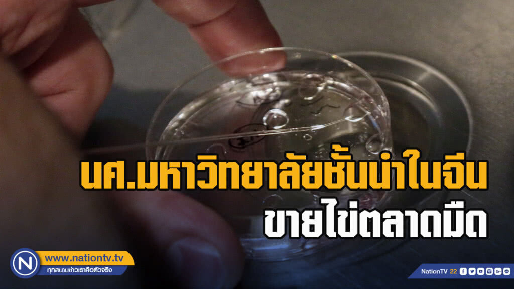 นศ.มหาวิทยาลัยชั้นนำในจีนขายไข่ตลาดมืด