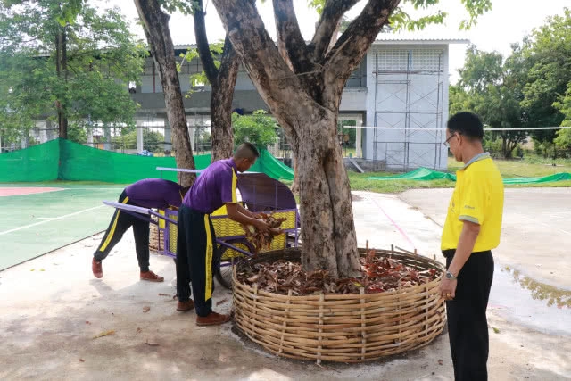 ไอเดียเก๋ รถเก็บขยะเศษใบไม้