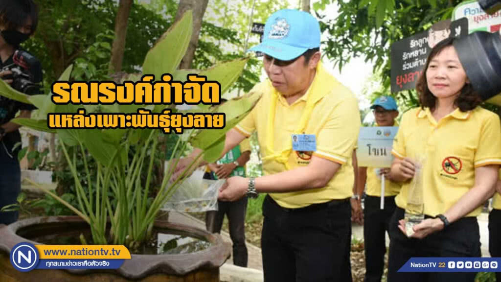 กรมควบคุมโรค รณรงค์กำจัดแหล่งเพาะพันธุ์ยุงลายฤดูฝน พร้อมแนะมาตรการเข้มข้น ป้องกันโรคไข้เลือดออก