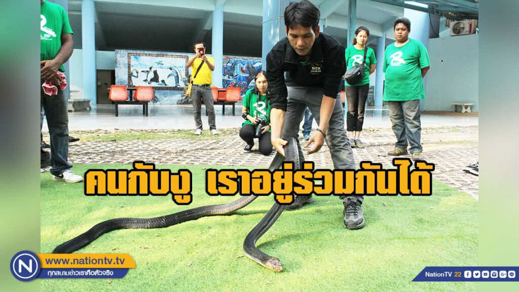 คนกับงู  เราอยู่ร่วมกันได้