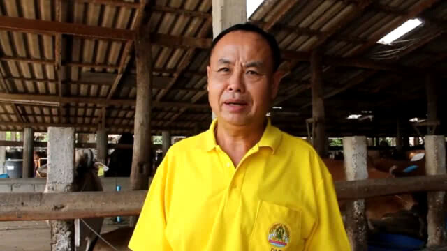 ปศุสัตว์ เตรียมรับมือหญ้าเลี้ยงสัตว์ขาดแคลน