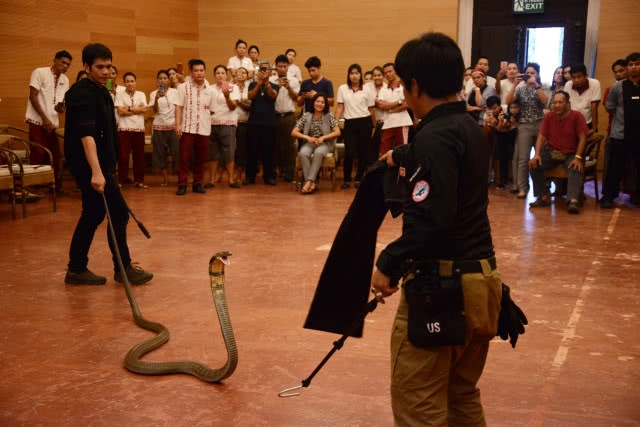 คนกับงู  เราอยู่ร่วมกันได้