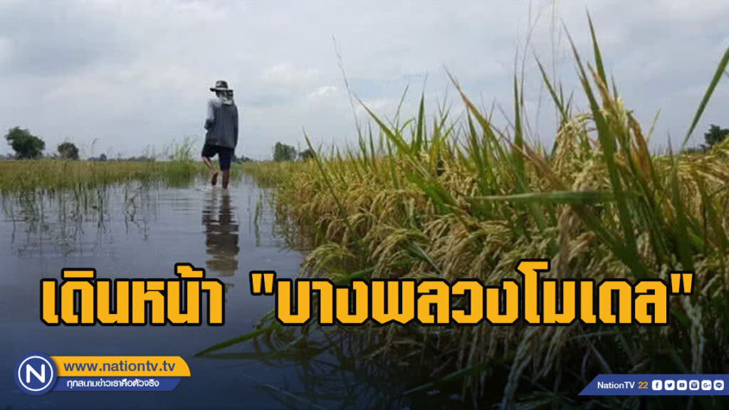 กรมชลฯ เดินหน้า"บางพลวงโมเดล"แก้ปัญหาความขัดแย้งชาวนากับชุมชน