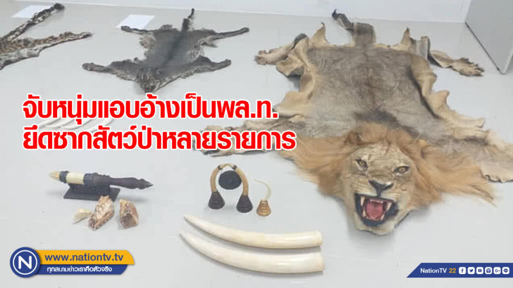 จับหนุ่มแอบอ้างเป็นพล.ท. ยึดซากสัตว์ป่าหลายรายการ จับหนุ่มแอบอ้างเป็นพล.ท. ยึดซากสัตว์ป่าหลายรายการ