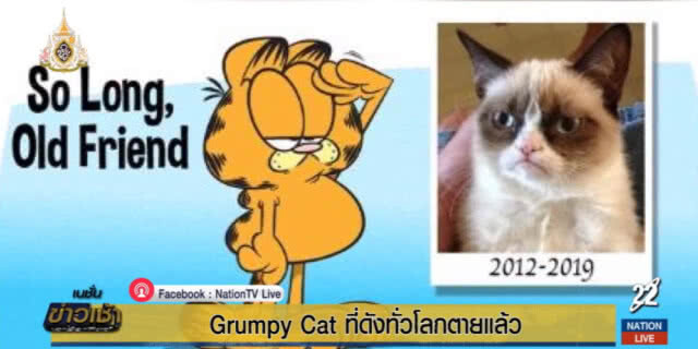 เจ้าแมวหน้ามุ่ย "Grumpy Cat" ที่โด่งดังไปทั่วโลกตายแล้ว!