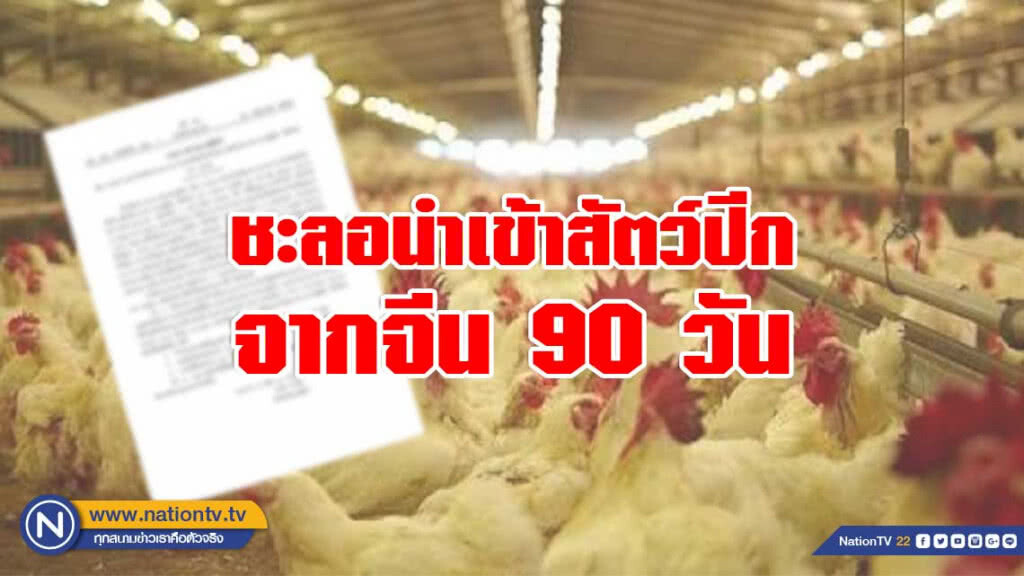 'กรมปศุสัตว์' ออกประกาศ "ชะลอนำเข้าสัตว์ปีกจากจีนอีก 90วัน"