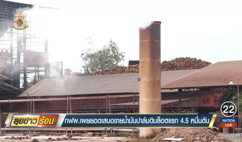 กฟผ.เผยยอดเสนอขายน้ำมันปาล์มดิบล็อตแรก 4.5 หมื่นตัน