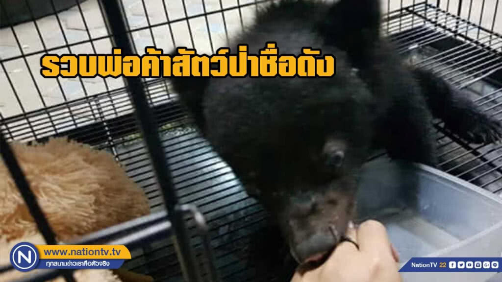 บุกรวบพ่อค้าสัตว์ป่าชื่อดัง "อ้วน ไจแอนท์" หลังโพสต์ขายสัตว์ป่าหลายชนิดมาเป็นเวลานาน