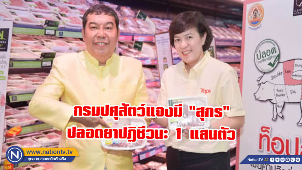 กรมปศุสัตว์แจงมี "สุกร" ปลอดยาปฎิชีวนะ 1 แสนตัว กรมปศุสัตว์แจงมี "สุกร" ปลอดยาปฎิชีวนะ 1 แสนตัว