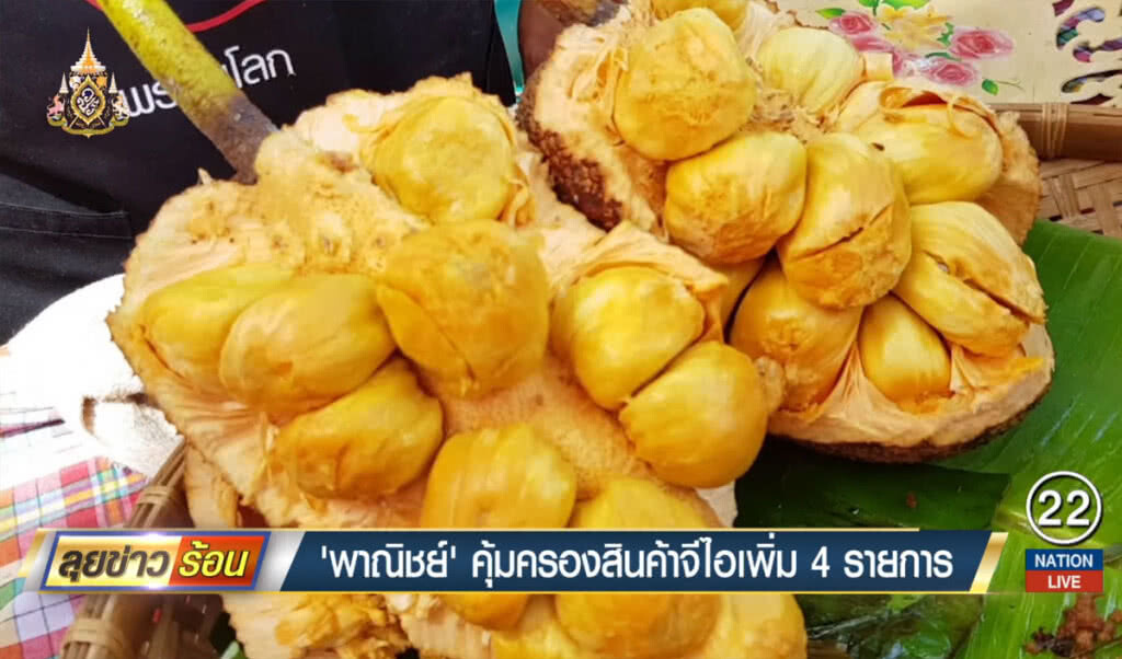 "พาณิชย์" คุ้มครองสินค้าจีไอเพิ่ม 4 รายการ "พาณิชย์" คุ้มครองสินค้าจีไอเพิ่ม 4 รายการ
