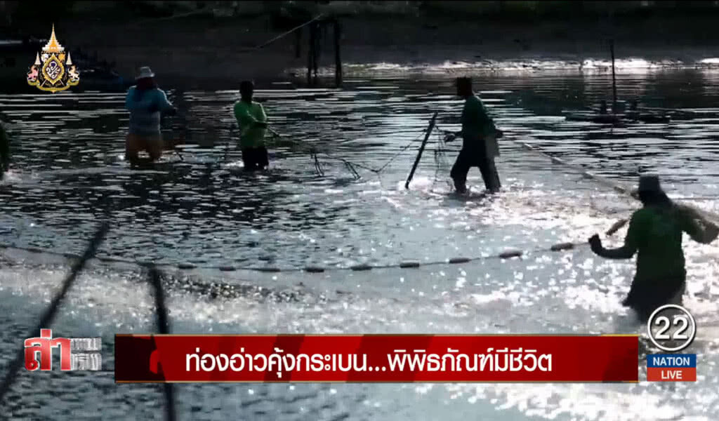 ท่องอ่าวคุ้งกระเบน... พิพิธภัณฑ์มีชีวิต ท่องอ่าวคุ้งกระเบน... พิพิธภัณฑ์มีชีวิต