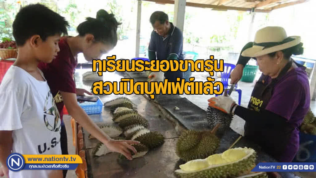 ทุเรียนระยองขาดรุ่น สวนปิดบุฟเฟ่ต์แล้ว ทุเรียนระยองขาดรุ่น สวนปิดบุฟเฟ่ต์แล้ว