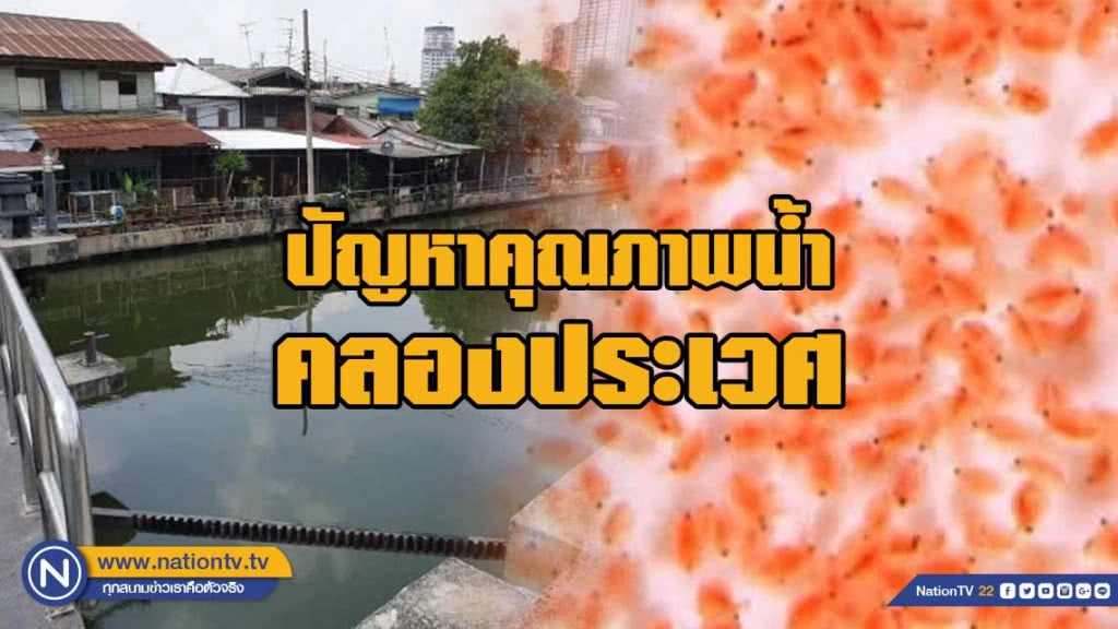 สทนช.จี้แก้ปัญหาคุณภาพน้ำคลองประเวศ เหตุริ้นน้ำจืด-ไรแดงระบาดหนัก