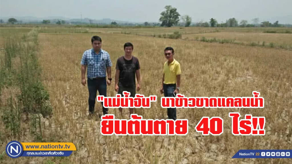 "แม่น้ำจัน" จ.เชียงรายแห้งสนิท นาข้าวขาดแคลนน้ำ ยืนต้นตาย 40 ไร่ !!!