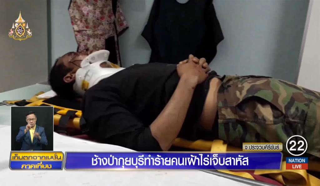 ช้างป่ากุยบุรีตื้บคนเฝ้าไร่เจ็บสาหัส