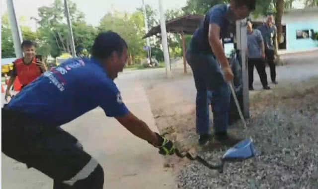 กู้ภัยวงแตก! เมื่องูพันแขนเจ้าหน้าที่