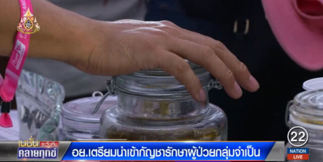 เตรียมนำเข้ากัญชารักษาผู้ป่วย "มะเร็งระยะสุดท้าย"