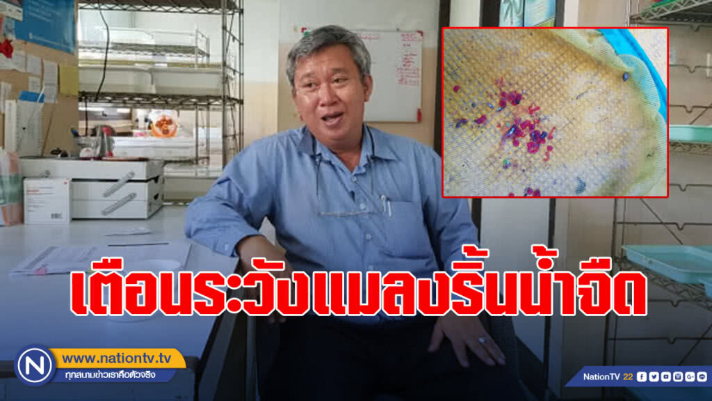 เตือนระวังแมลงริ้นน้ำจืดเสี่ยงเป็นโรคภูมิแพ้