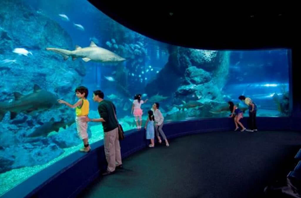 Merlin Entertainments จับมือ Klook แถลงความร่วมมือระดับโลก เพิ่มประสบการณ์การท่องเที่ยว