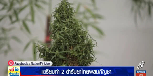 เตรียมทำ 2 ตำรับยาไทยผสมกัญชา คาดมีผู้ป่วยใช้เกือบ 8 แสน