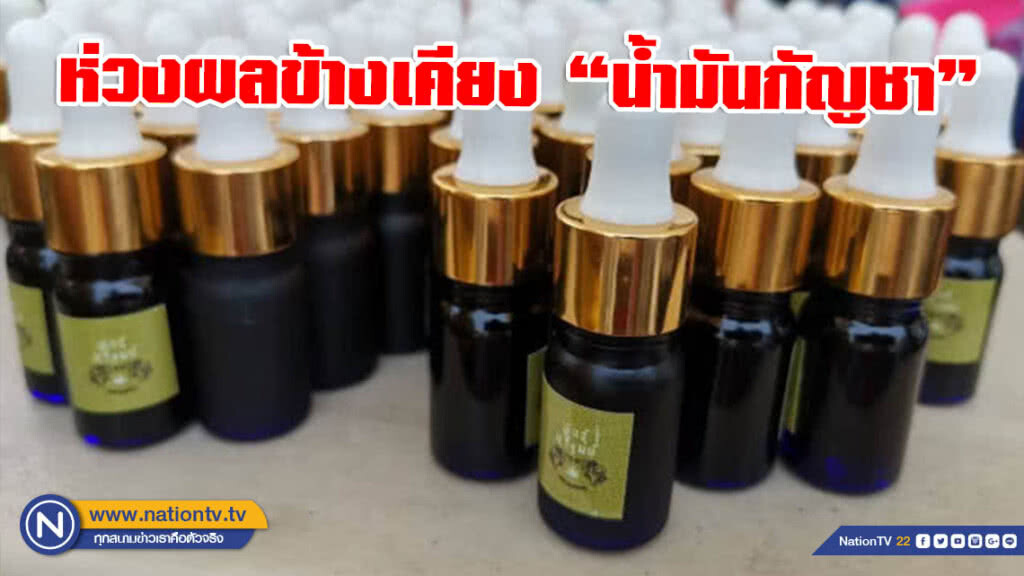 กรมสุขภาพจิต ห่วงผลข้างเคียงต่อสมองจากการใช้น้ำมันกัญชา