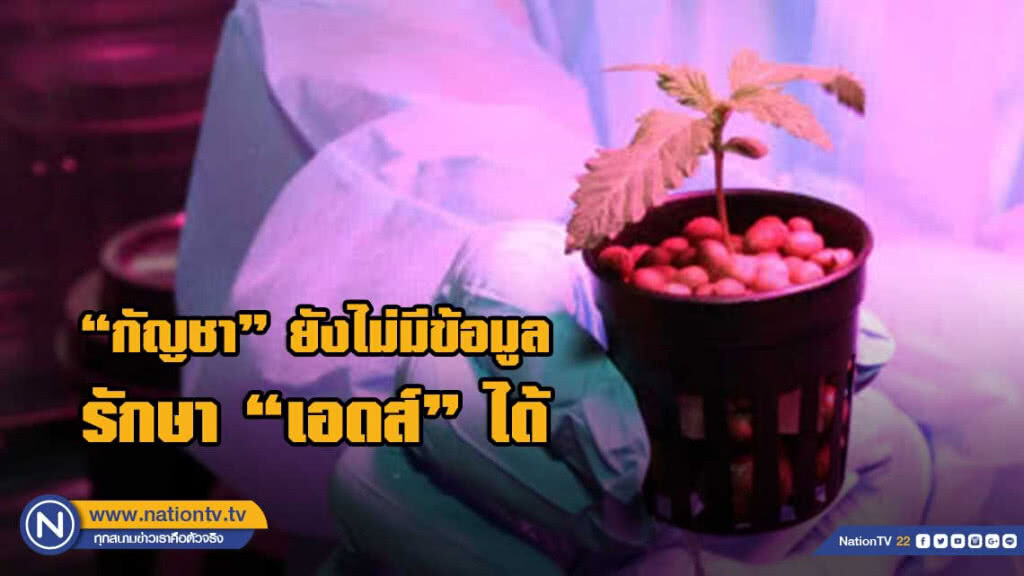 สธ.ย้ำกัญชายังไม่มีข้อมูลรักษา"เอชไอวี"ได้ สธ.ย้ำกัญชายังไม่มีข้อมูลรักษา"เอชไอวี"ได้