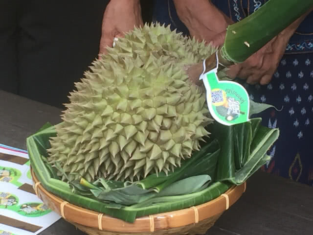 เตรียมประมูลทุเรียนนนท์ รายได้ซื้อเครื่องมือแพทย์ให้รพ.