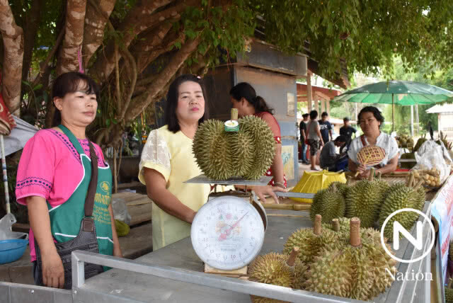 ฮือฮา! ทุเรียนพื้นเมืองลับแล ออกผลคล้ายรูปหัวใจ