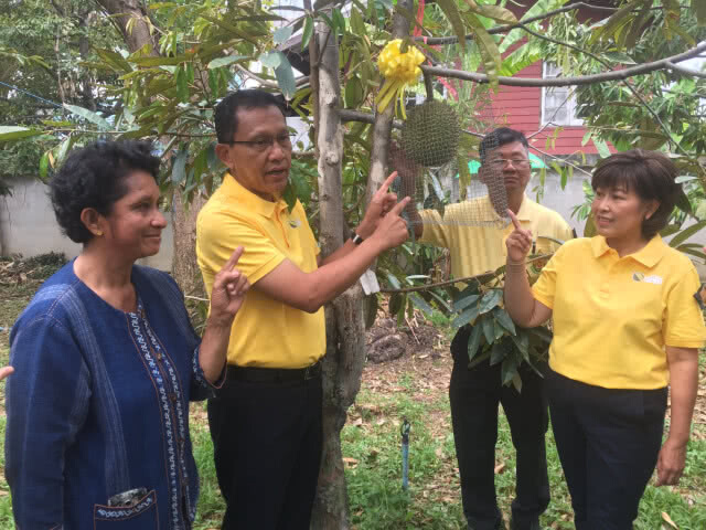 เตรียมประมูลทุเรียนนนท์ รายได้ซื้อเครื่องมือแพทย์ให้รพ.